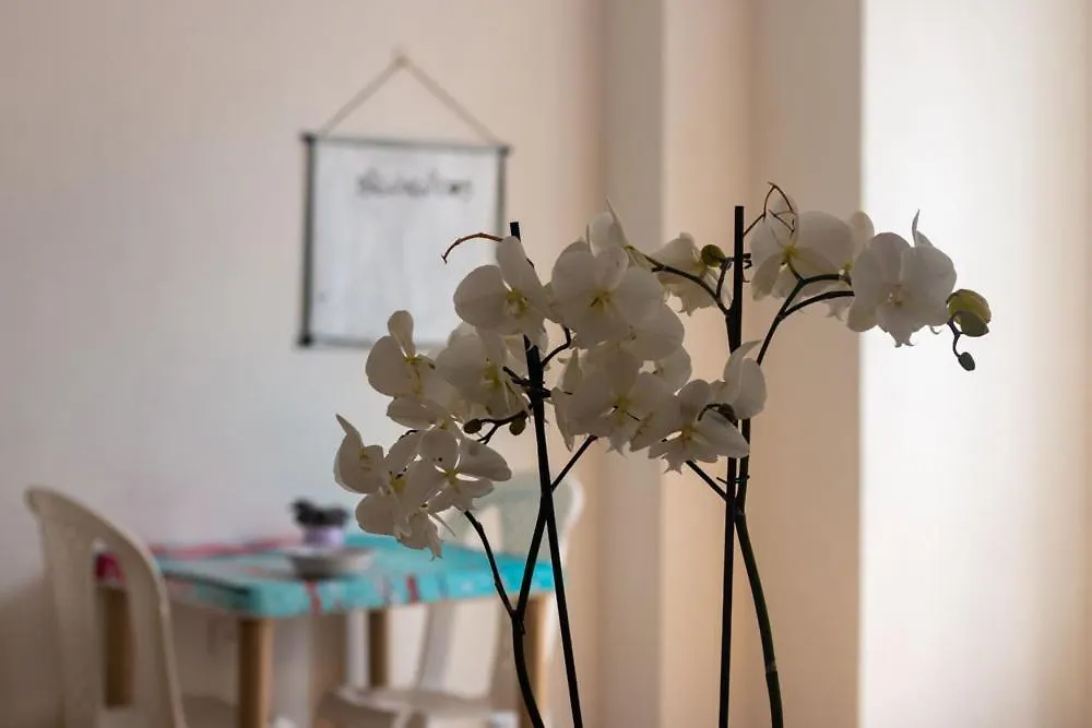 Hermoso Apartamento En La Mejor Zona De בוגוטה 0*,