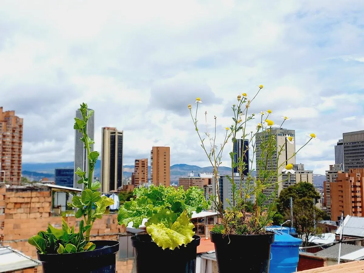 Hermoso Apartamento En La Mejor Zona De בוגוטה קולומביה